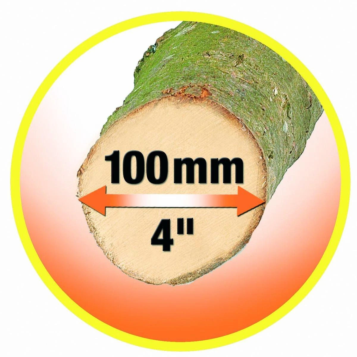 Black & Decker Scie D'élagage Alligator BLACK + DECKER GK1000 - 550W - Coupe Des Branches Jusqu'à 10 Cm De Diamètre 5 Black & Decker Scie D'élagage Alligator BLACK + DECKER GK1000 - 550W - Coupe Des Branches Jusqu'à 10 Cm De Diamètre - Image 3