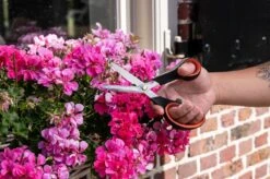 Black & Decker Ciseaux à Fleurs BLACK+DECKER - Ciseaux De Jardin Multifonctions - Lame De Coupe En Acier - Manche En Plastique - Coupe-fleurs Et Sécateur - Zwart/ Oranje -Outils Pro Soldes 1200x798 1