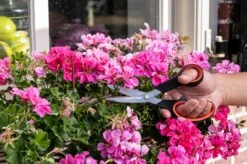 Black & Decker Ciseaux à Fleurs BLACK+DECKER - Ciseaux De Jardin Multifonctions - Lame De Coupe En Acier - Manche En Plastique - Coupe-fleurs Et Sécateur - Zwart/ Oranje -Outils Pro Soldes 1200x798