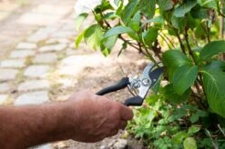 Black & Decker BLACK+DECKER Set Outils De Jardin 4 Pièces - Tapis De Sol, Sécateur, Pelle Et Griffe De Jardin - Capacité De Coupe De 13 Mm - Zwart/ Oranje -Outils Pro Soldes 1200x798 5