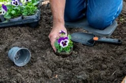 Black & Decker BLACK+DECKER Set Outils De Jardin 4 Pièces - Tapis De Sol, Sécateur, Pelle Et Griffe De Jardin - Capacité De Coupe De 13 Mm - Zwart/ Oranje -Outils Pro Soldes 1200x798 9