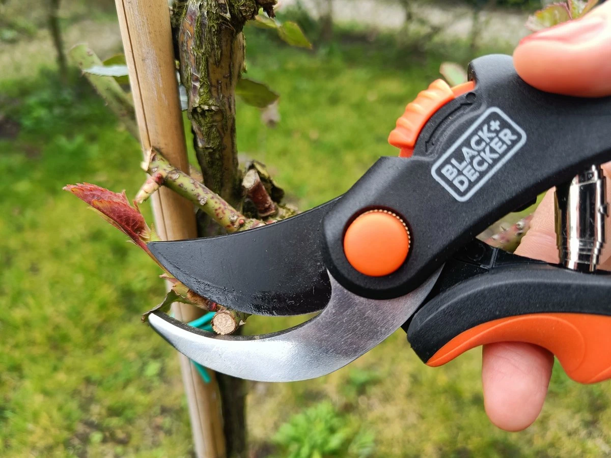 Black & Decker Sécateur Black+Decker - Bypass - Ciseaux à Fleurs - Lames En Acier Trempé - Zwart/ Oranje - Epaisseur De Branche Diamètre De Coupe Max Ø 13 Mm 5 Black & Decker Sécateur Black+Decker - Bypass - Ciseaux à Fleurs - Lames En Acier Trempé - Zwart/ Oranje - Epaisseur De Branche Diamètre De Coupe Max Ø 13 Mm - Image 3