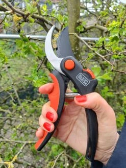 Black & Decker Sécateur Black+Decker - Bypass - Ciseaux à Fleurs - Lames En Acier Trempé - Zwart/ Oranje - Epaisseur De Branche Diamètre De Coupe Max Ø 13 Mm 14 Black & Decker Sécateur Black+Decker - Bypass - Ciseaux à Fleurs - Lames En Acier Trempé - Zwart/ Oranje - Epaisseur De Branche Diamètre De Coupe Max Ø 13 Mm -Outils Pro Soldes 900x1200