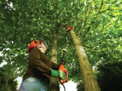 Black & Decker PS7525-QS Tronçonneuse Sur Manche Télescopique 800 Watt 25 Cm 13 Black & Decker PS7525-QS Tronçonneuse Sur Manche Télescopique 800 Watt 25 Cm -Outils Pro Soldes ps7525 qs tronconneuse sur manche telescopique 800 watt 25 cm 5